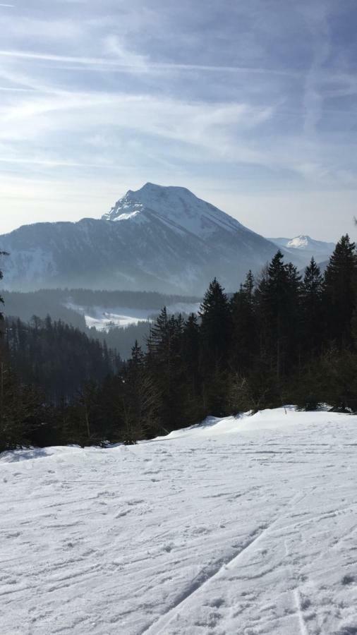 Das Landhaus Puchenstuben Luaran gambar