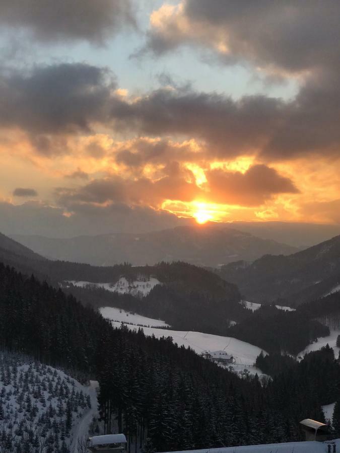 Das Landhaus Puchenstuben Luaran gambar
